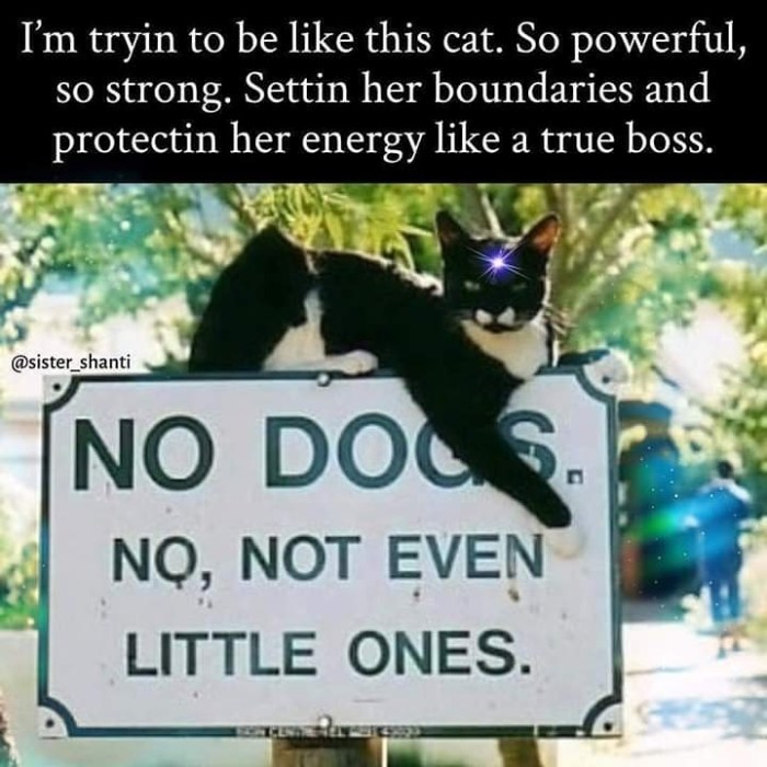 img_20200509_214956_180