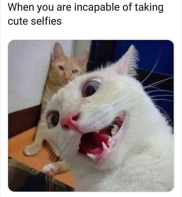 img_20200512_205809_196