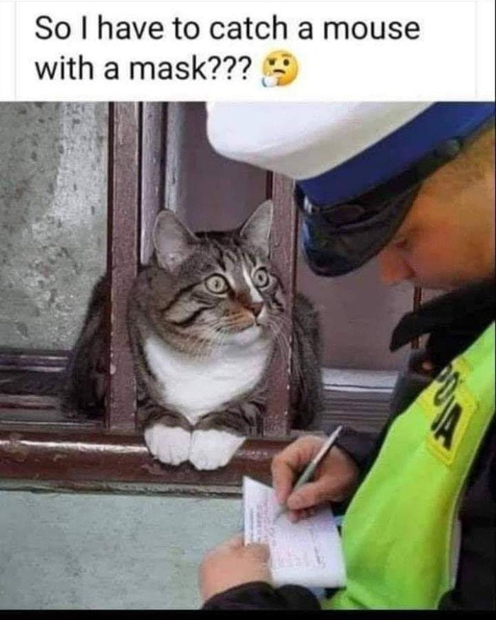 img_20200516_060208_765