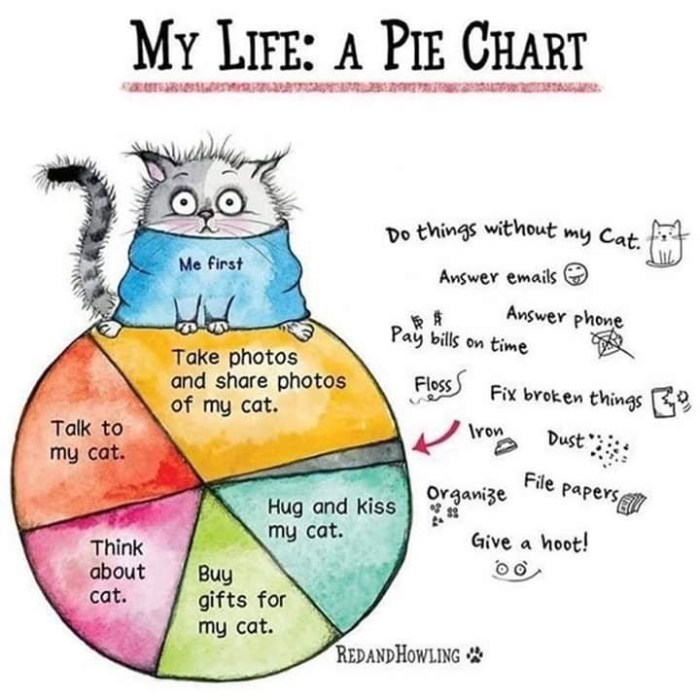 facebook_1590983671142_6673069175807259662