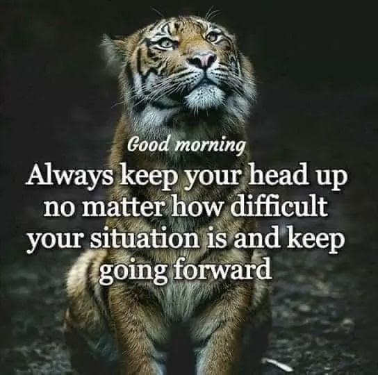 facebook_1591040359536_6673306944163677609