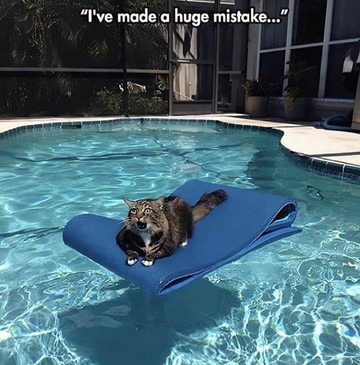 facebook_1591054302790_6673365426410908234