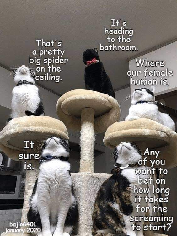 facebook_1591080942885_6673477163066974971