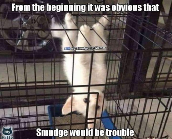 facebook_1591842458619_6676671191558600255