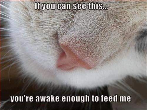 facebook_1592597521461_6679838154655354332