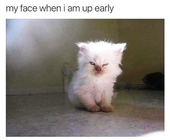 facebook_1592665301188_6680122443434335241