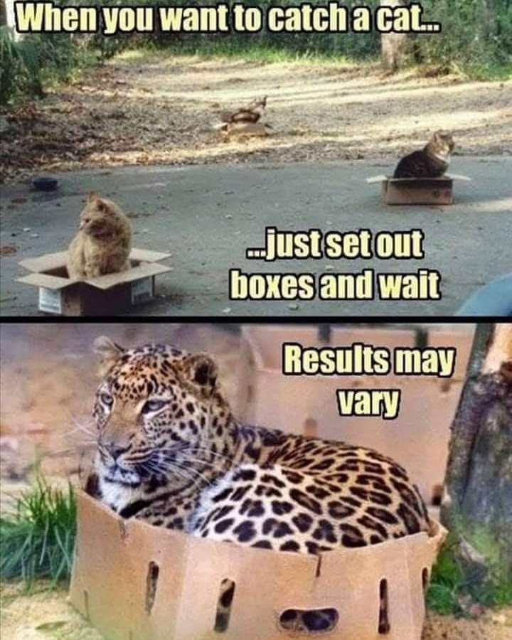 img_20200613_041446_748