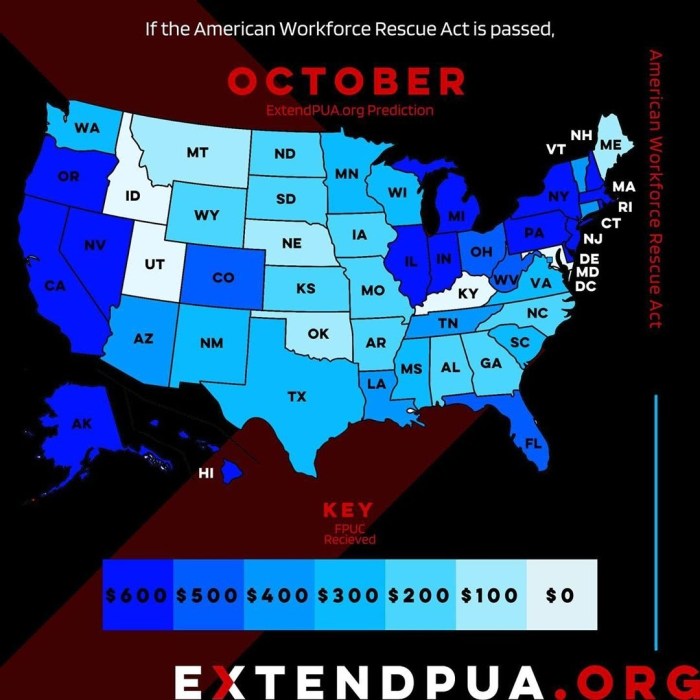 extendpua-15956152731160