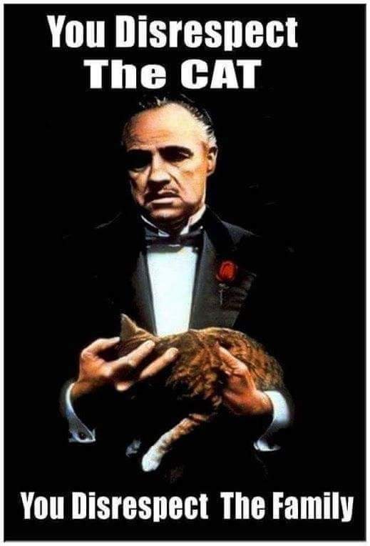 facebook_1592955903904_6681341319572331718