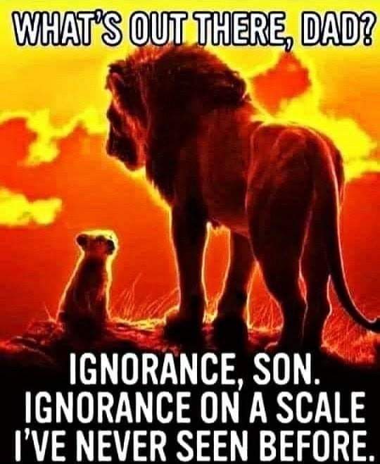 facebook_1593581021954_6683963254712058215