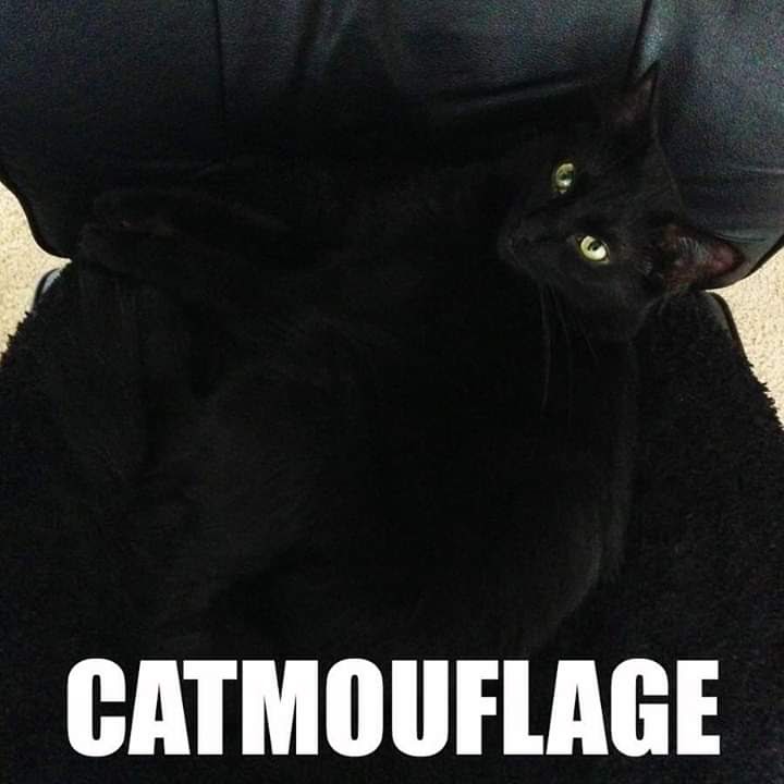 facebook_1595304769198_6691193174668919152