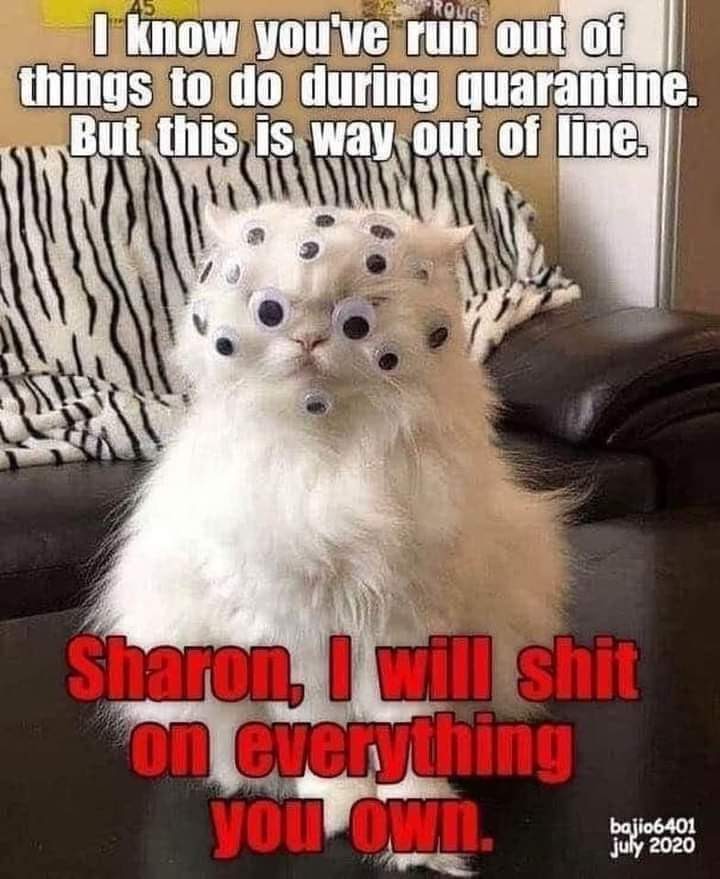 facebook_1596767825951_6697329679460774441