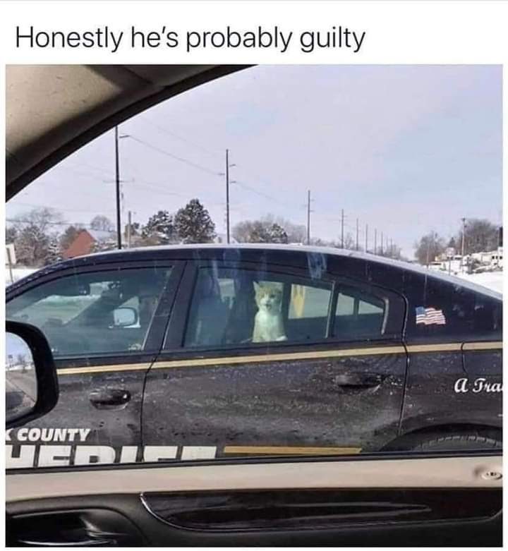 facebook_1597148201580_6698925090480786023