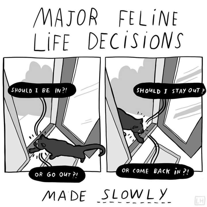 facebook_1597573873797_6700710489169571720