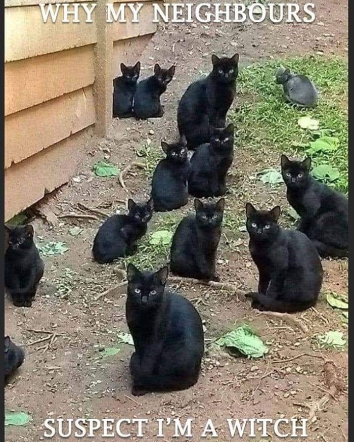 img_20200806_023438_542