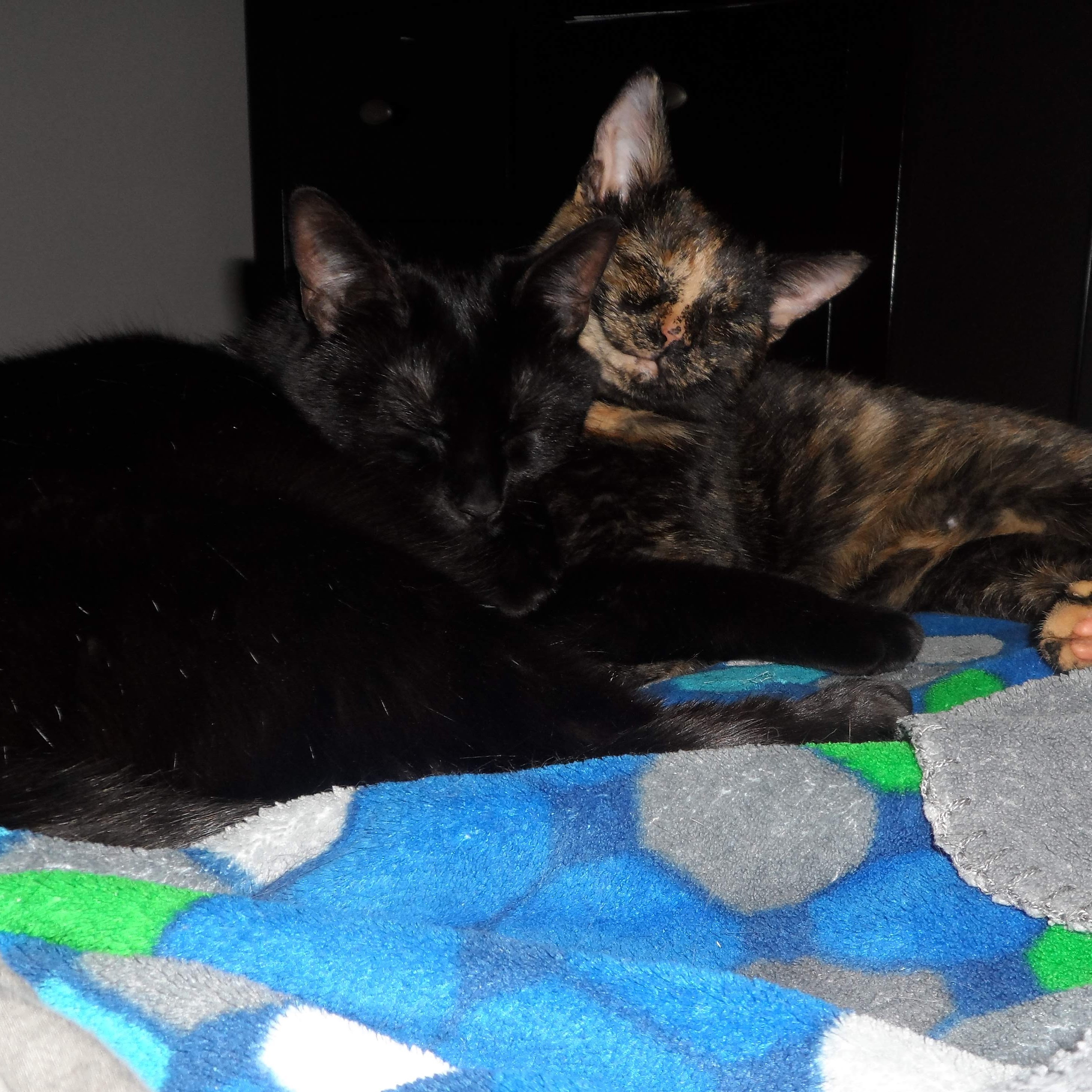 img_20200808_161958_733