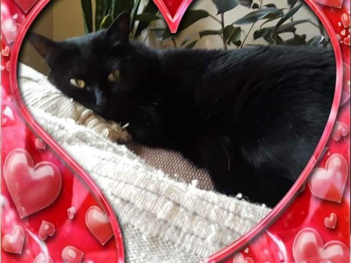 img_20200817_012919_995